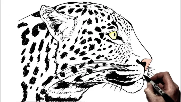 Изучаем Искусство: Простой Способ Нарисовать Леопарда Для Детей