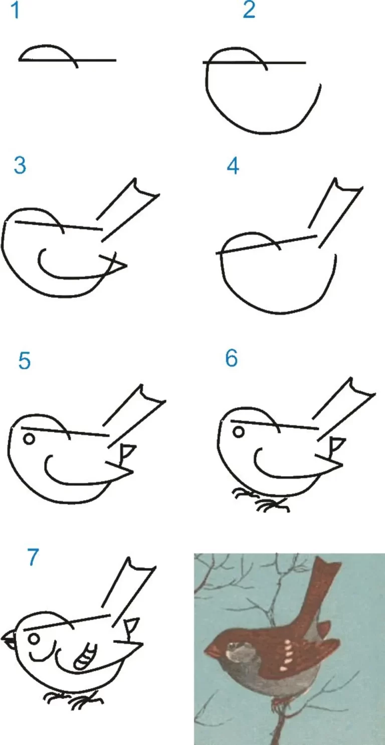 Искусство Рисования Птички На Ветке В 10 Шагах