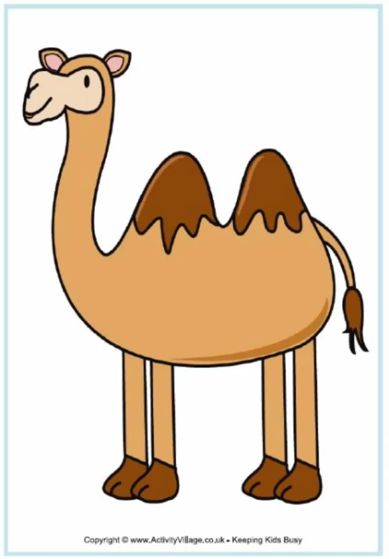 Пошаговая Инструкция: Как Нарисовать Верблюда Карандашом Для Детей