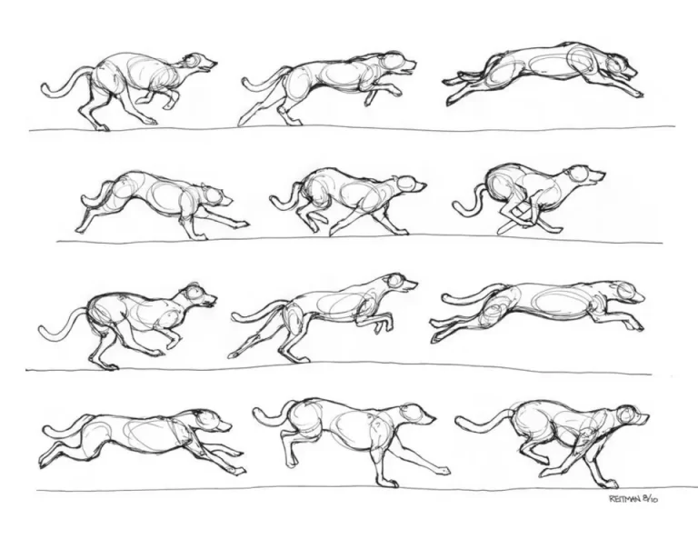 Шаг За Шагом: Как Нарисовать Бегущую Собаку Идеально
