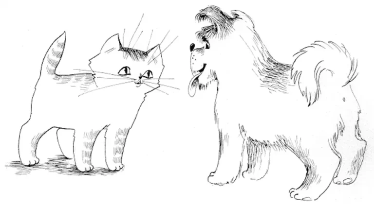 Кошка И Собака Вместе: Захватывающий Рисунок На Странице