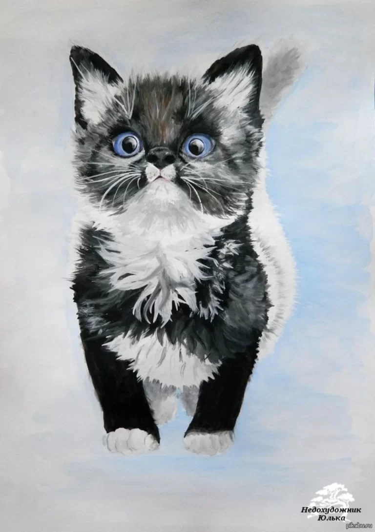 Искусство Гуашью: Шаг За Шагом Нарисуйте Прекрасного Кота