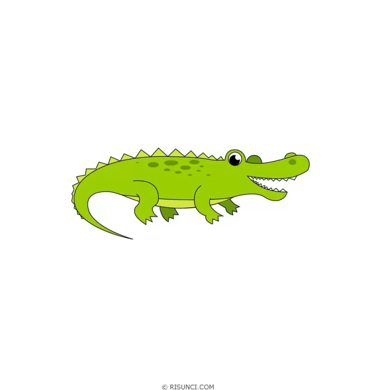 Элегантный И Простой Рисунок Крокодила: Идеи И Инструкции