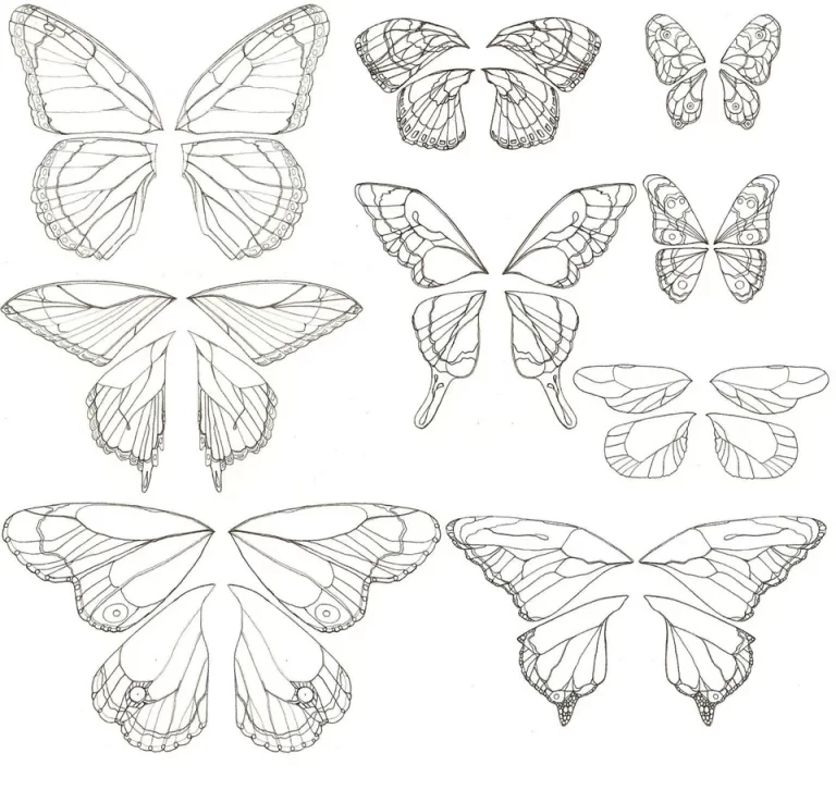 Изумительный Рисунок На Крыльях Бабочки: Красота Природы В Искусстве