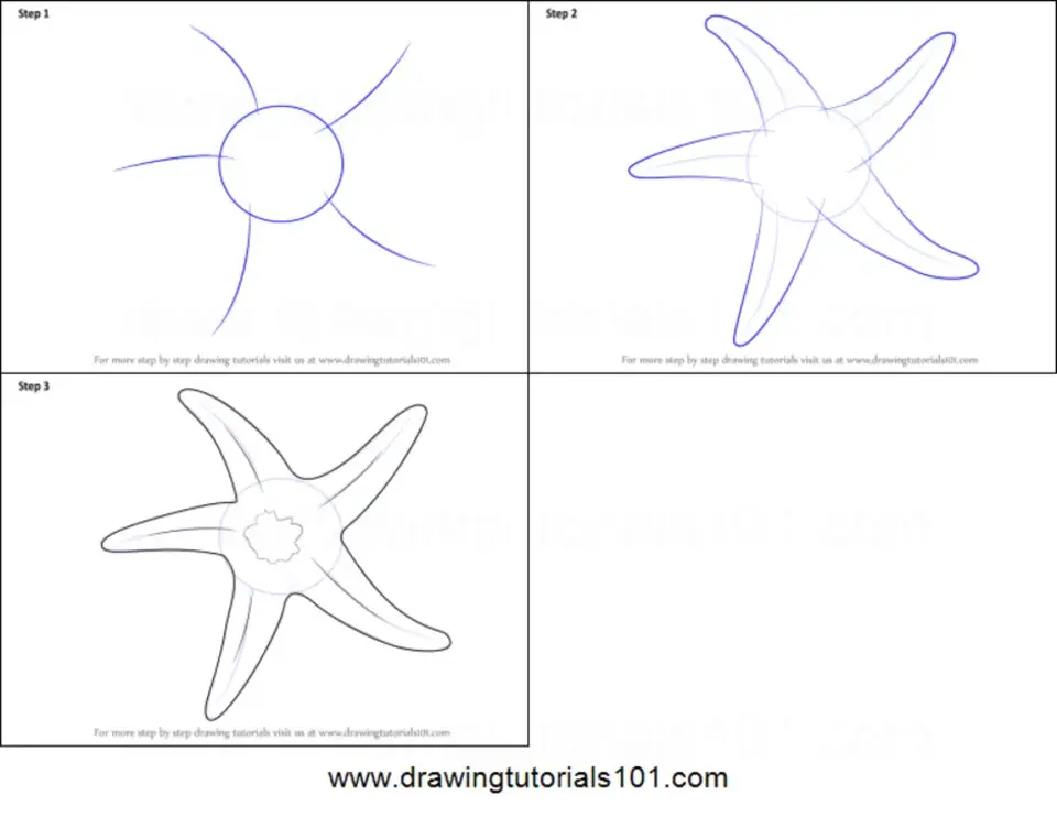 Морская звезда трафарет