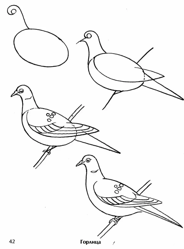 Веселый Рисунок Птицы Для Детей 5 Лет: Учимся Творить!
