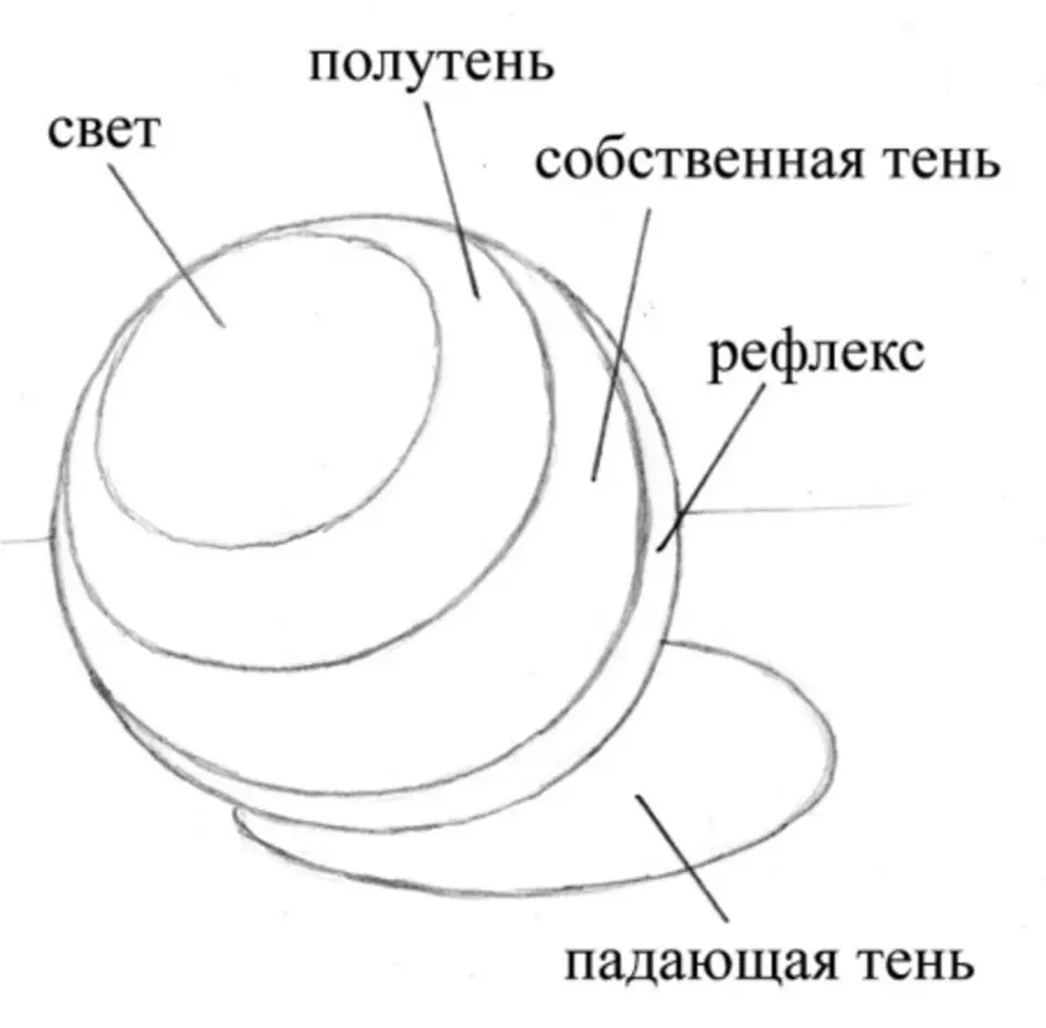 Блик тень полутень рефлекс в рисунке