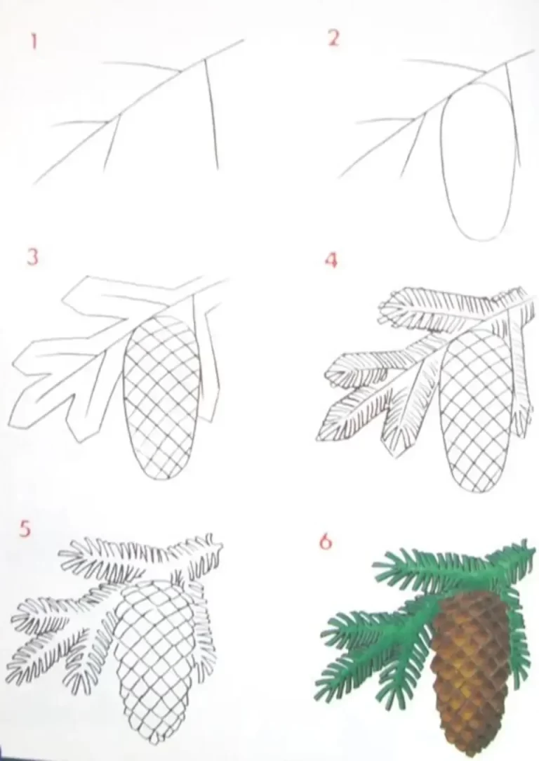 Рисование еловой ветки с шишкой