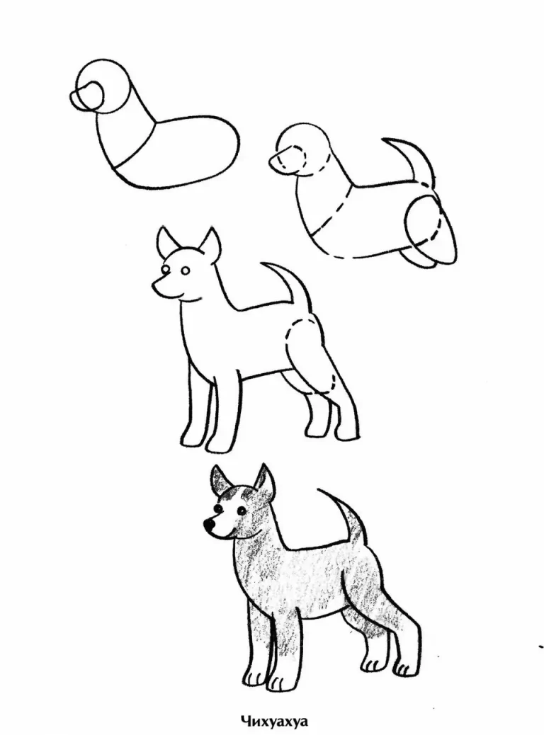 Простой Поэтапный Рисунок Собаки Для Детей