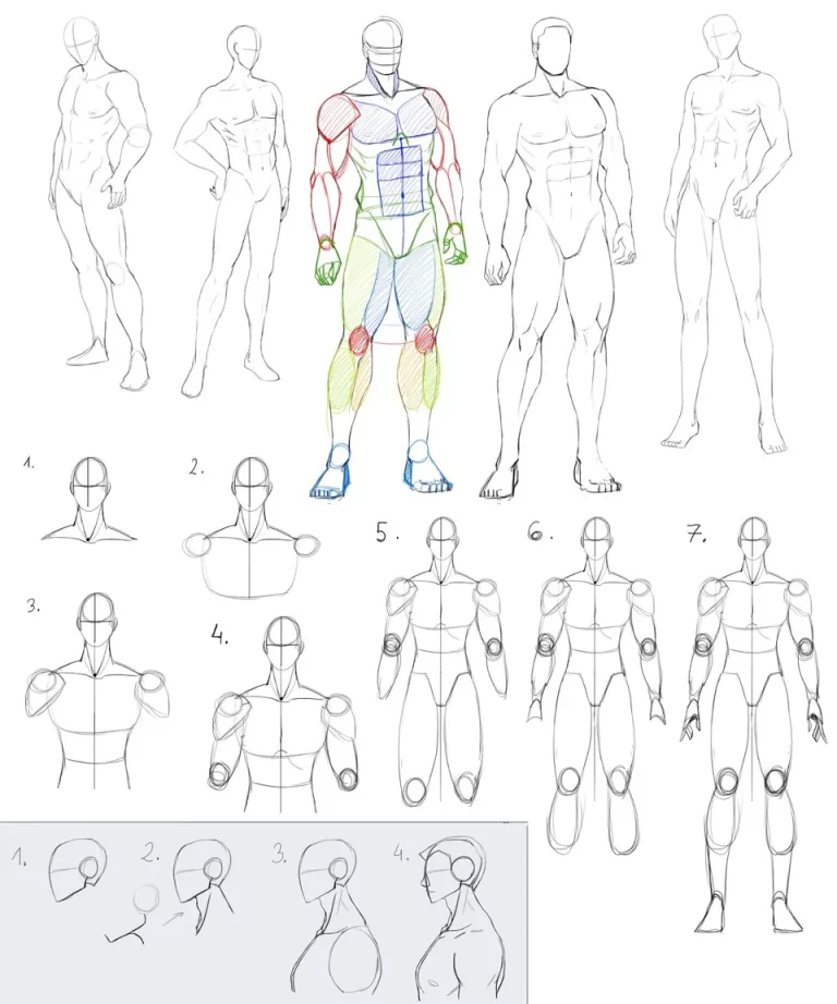 Схема Человека В Рисунке: Основные Элементы И Структура
