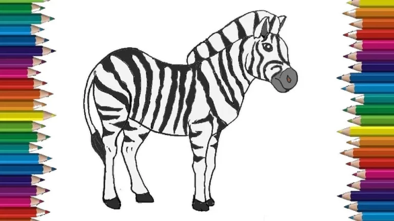 Зебра детский рисунок