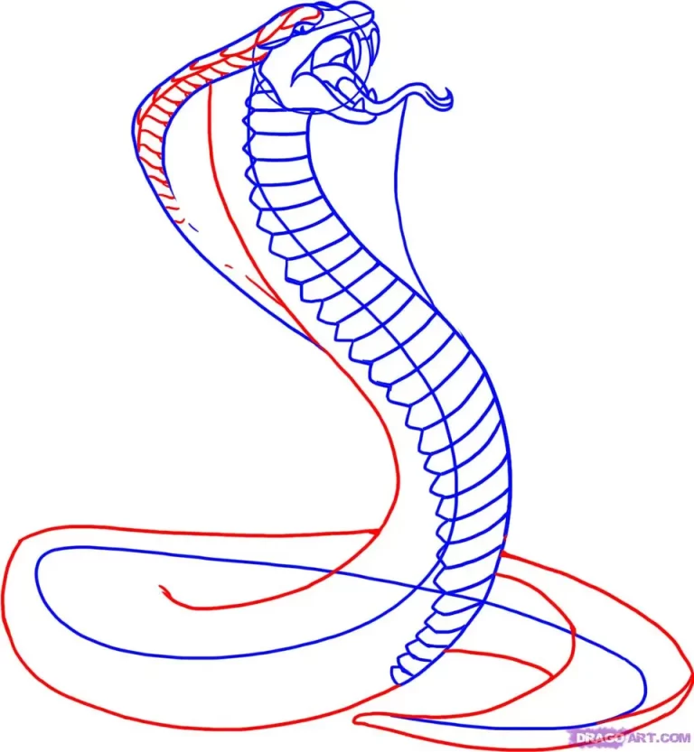 Пошаговое Руководство: Как Нарисовать Змею
