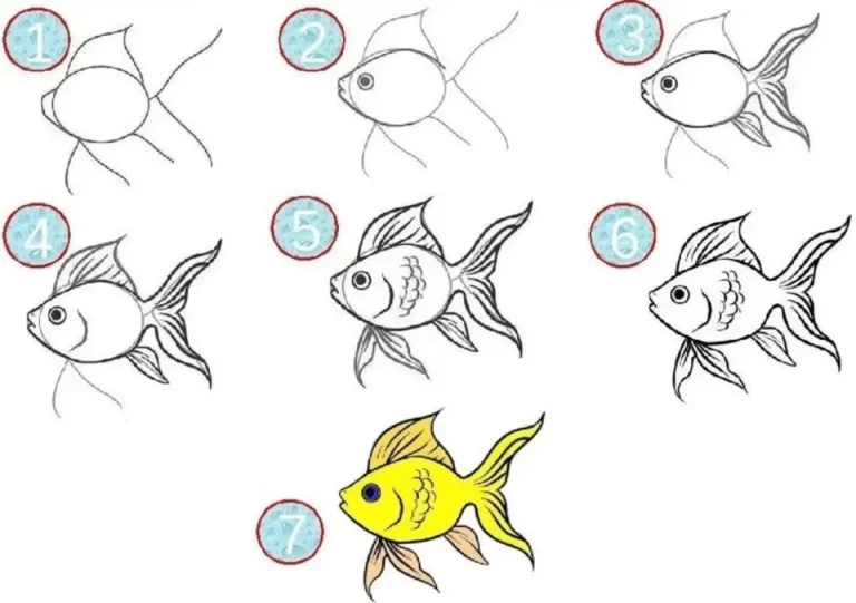 Искусство Рисования Рыбы: Советы И Техники В 10 Шагах