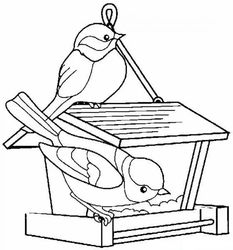 Кормушка Для Птиц: Обзор Идеального Рисунка