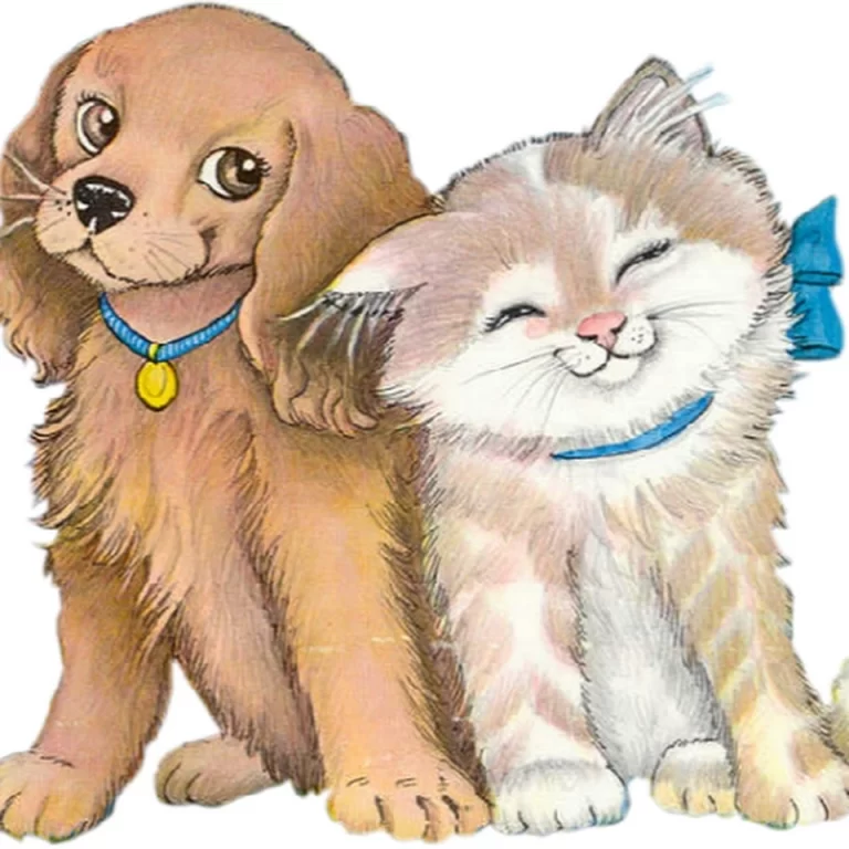 Забавные Рисунки Кота И Собаки: Смешной Дуэт На Бумаге