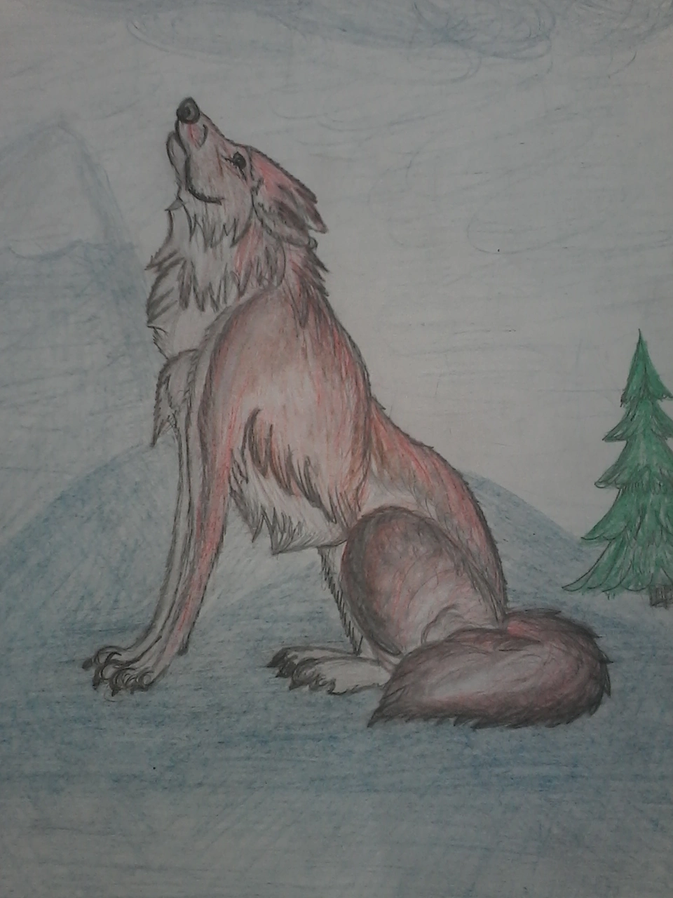 Волк поэтапно карандашом