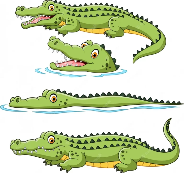 Крокодил: Рисунок Для Детей И Их Творческого Развития