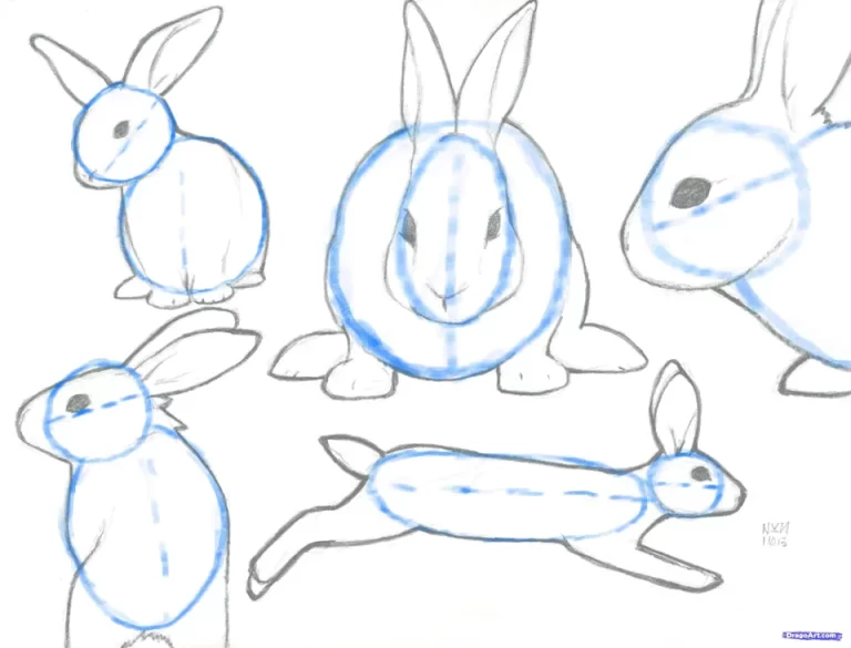 Простые Инструкции: Как Нарисовать Кролика Для Детей
