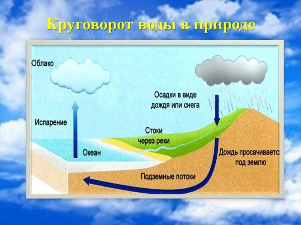 Схема круговорота воды