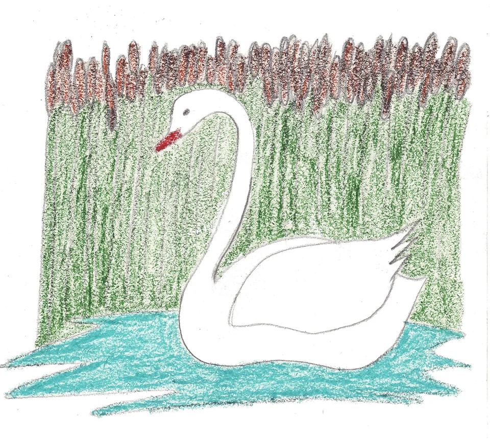 Лебедь детский рисунок