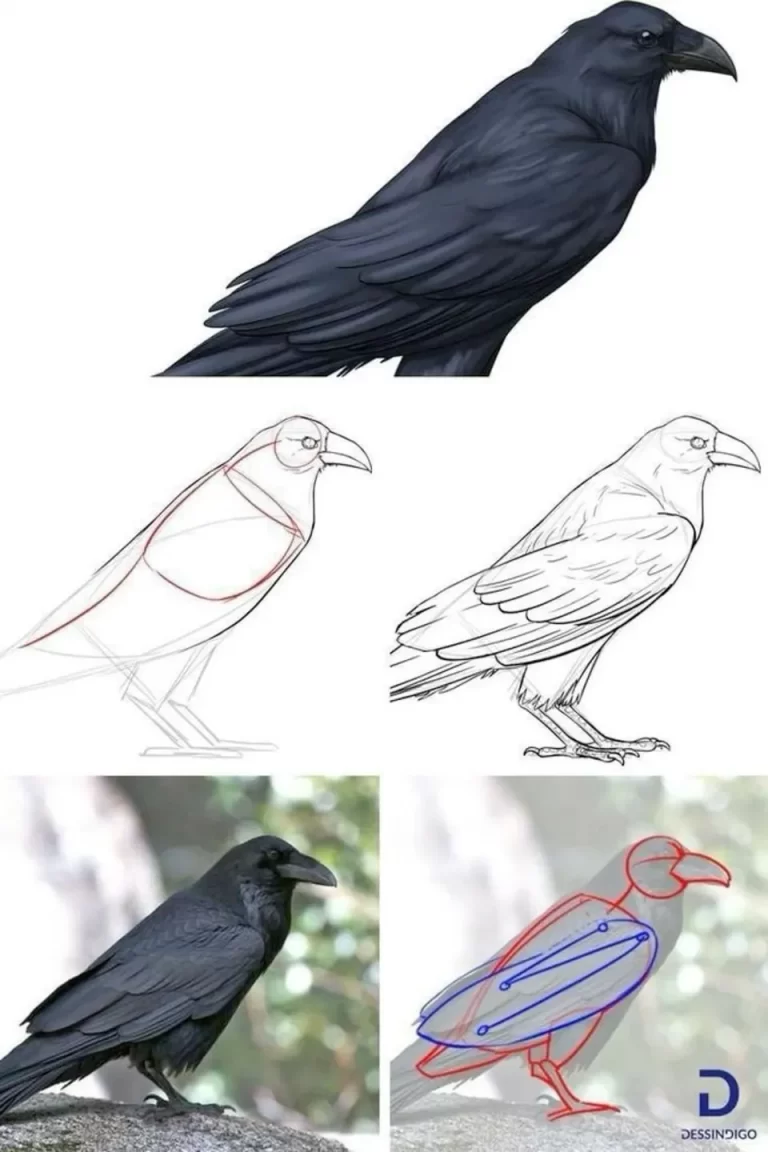 Изящный Образ Вороны: Легкий Рисунок, Созданный С Легкостью