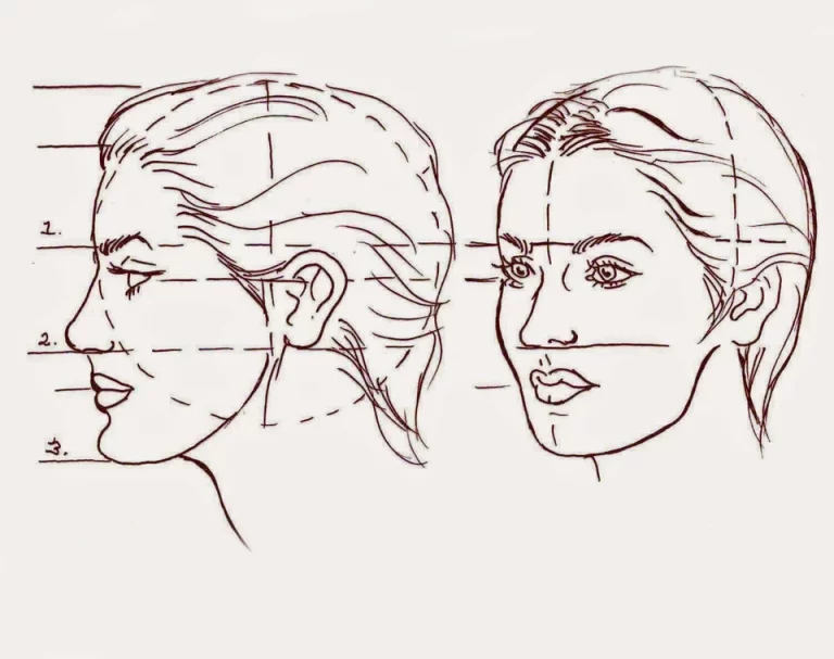 Пропорции женского лица