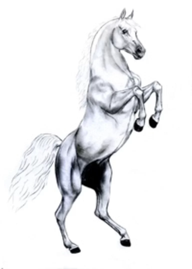 Искусство В Движении: Лошадь На Дыбах В Живописи
