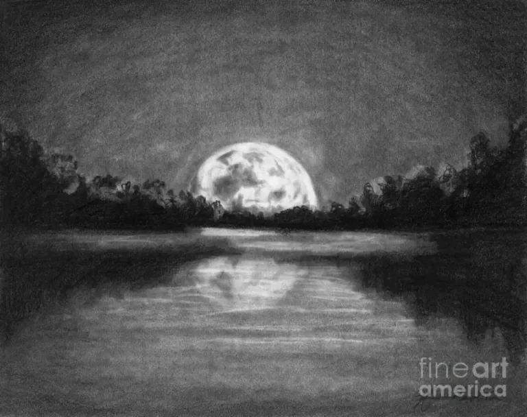 Лунная Ночь В Волшебном Рисунке: Загадочная Красота Под Лунным Светом
