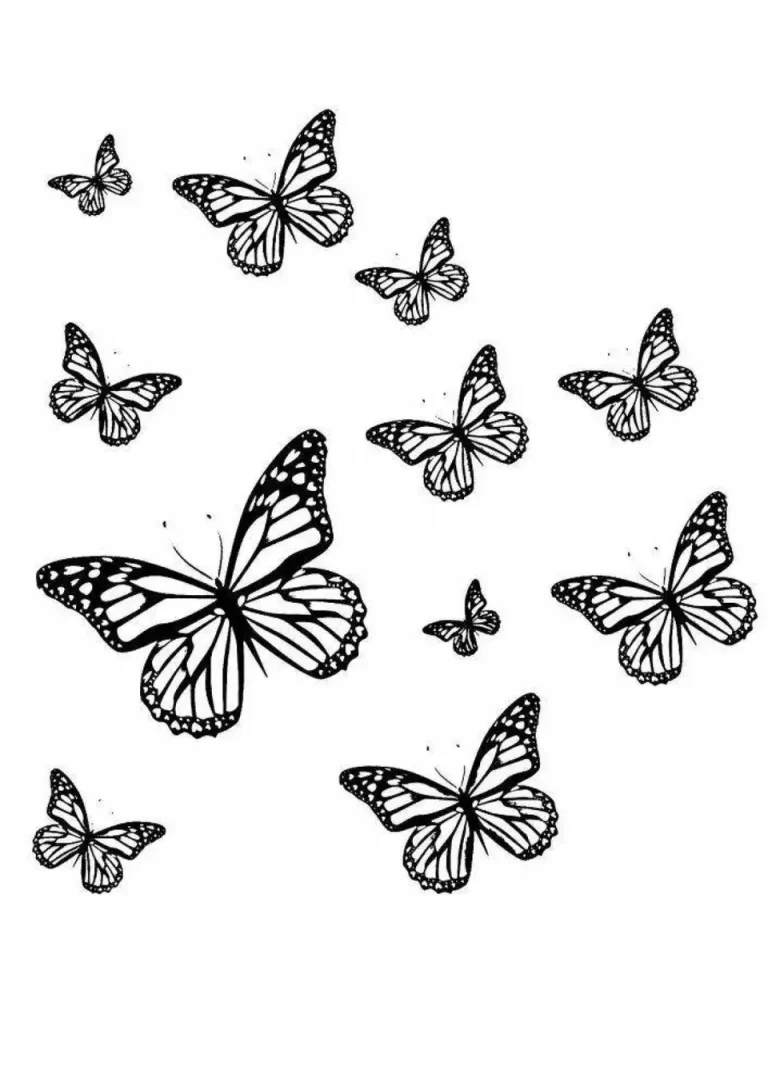 Загадочная Красота: Великолепный Рисунок Большой Бабочки