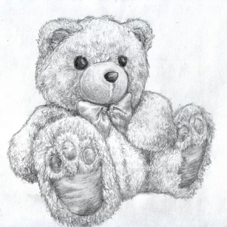 Медвежонок для срисовки