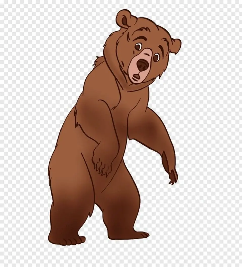 Медведь иллюстрация