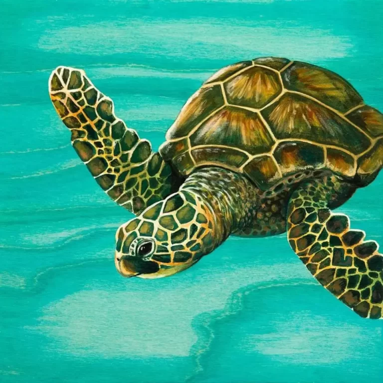 Уникальные Рисунки Красноухой Черепахи: Вдохновение И Творчество