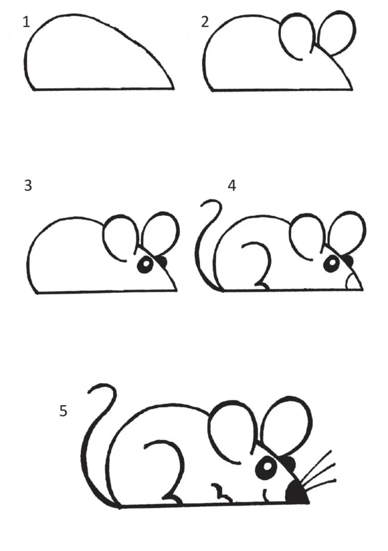 Мышь рисунок простой