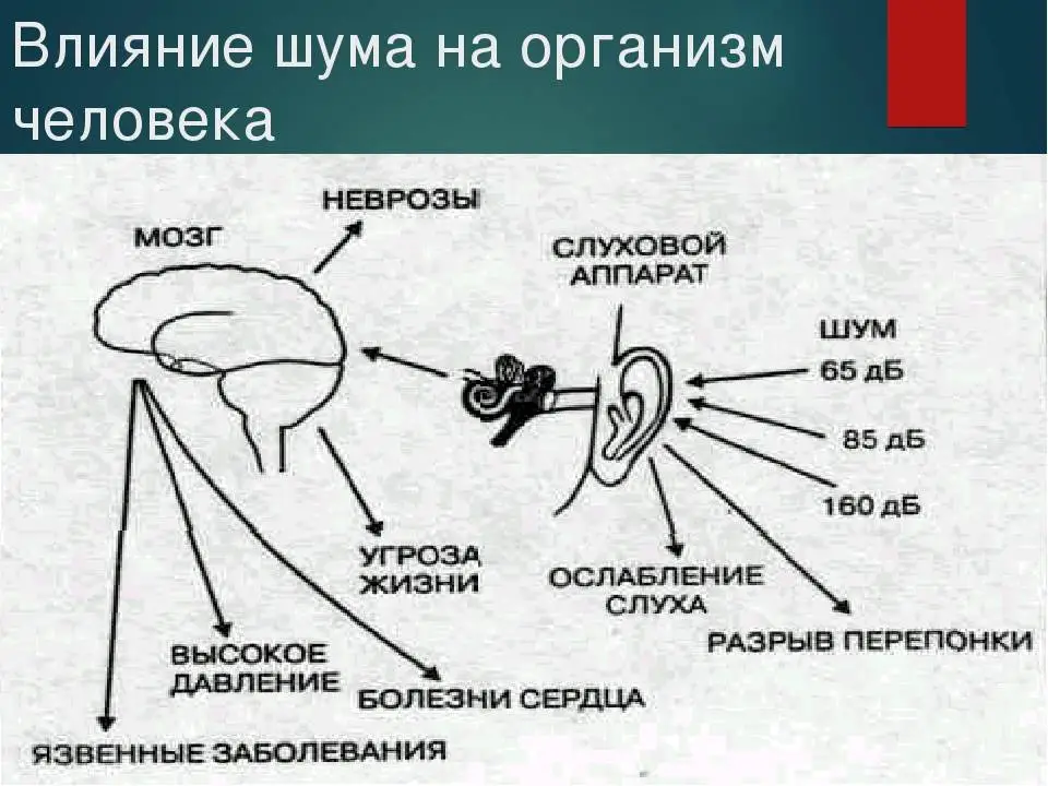 Влияние шума на человека