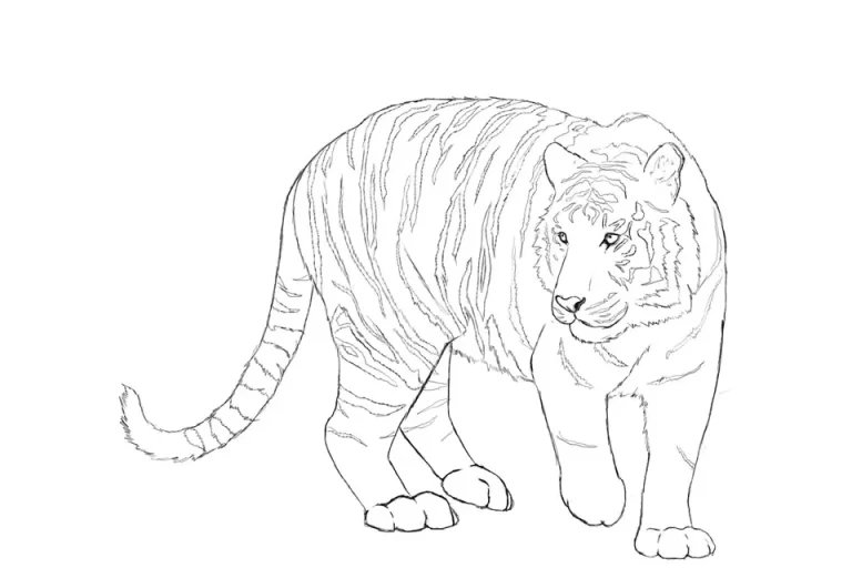 Искусство На Холсте: Техники Рисования Амурского Тигра