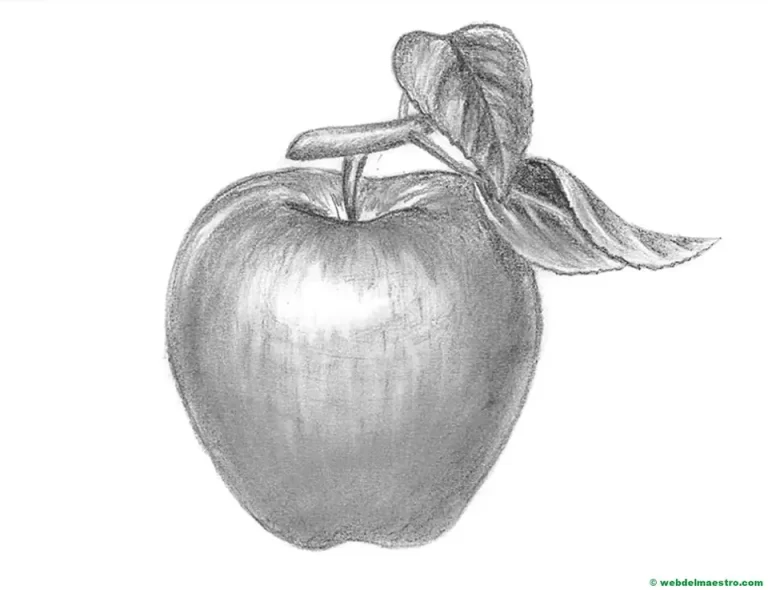Яблоко простым карандашом