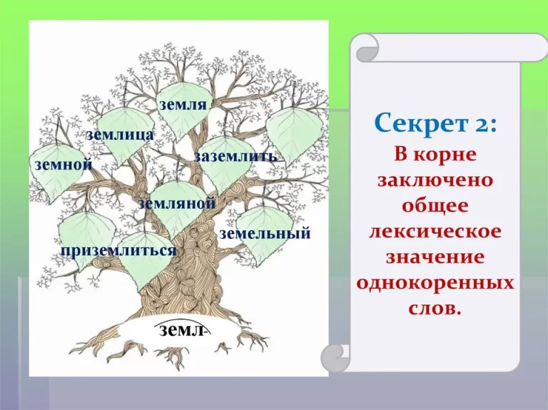 Однокоренные слова дерево