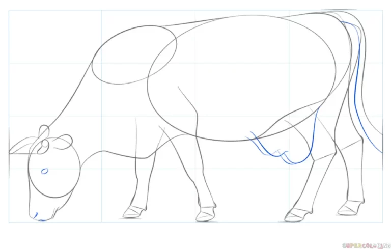 Рисунок коровы карандашом