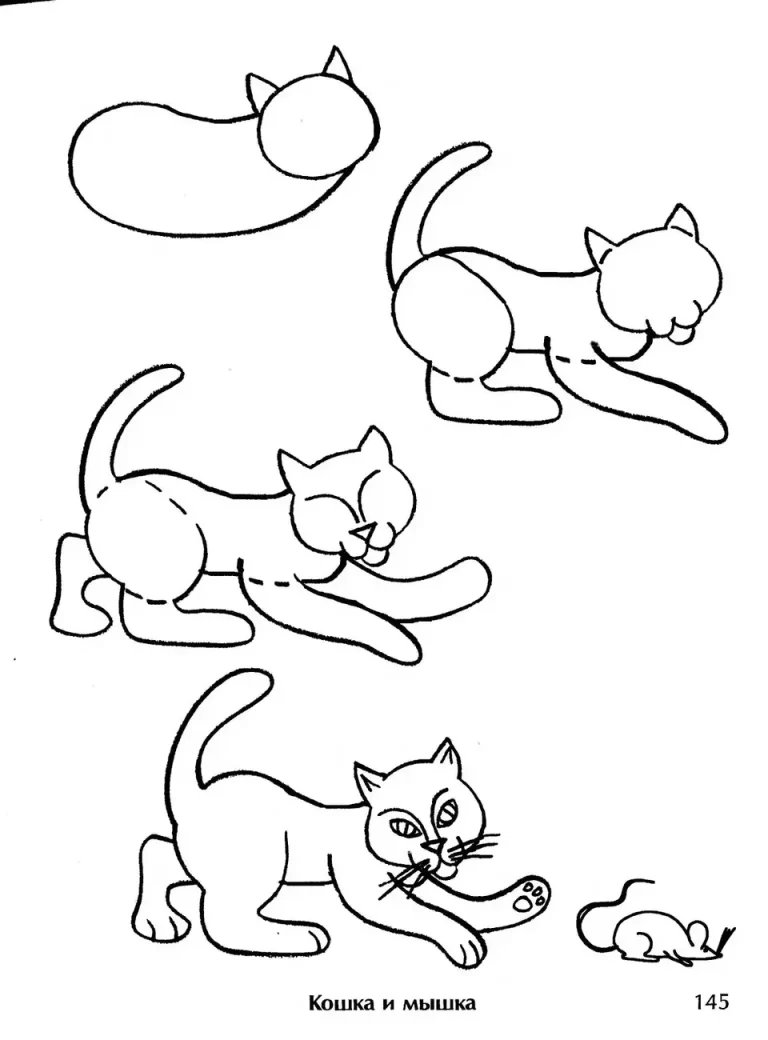 Рисунок кошки для детей поэтапно