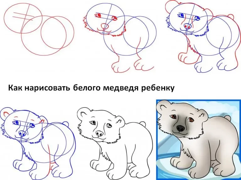 Рисуем белого медведя поэтапно