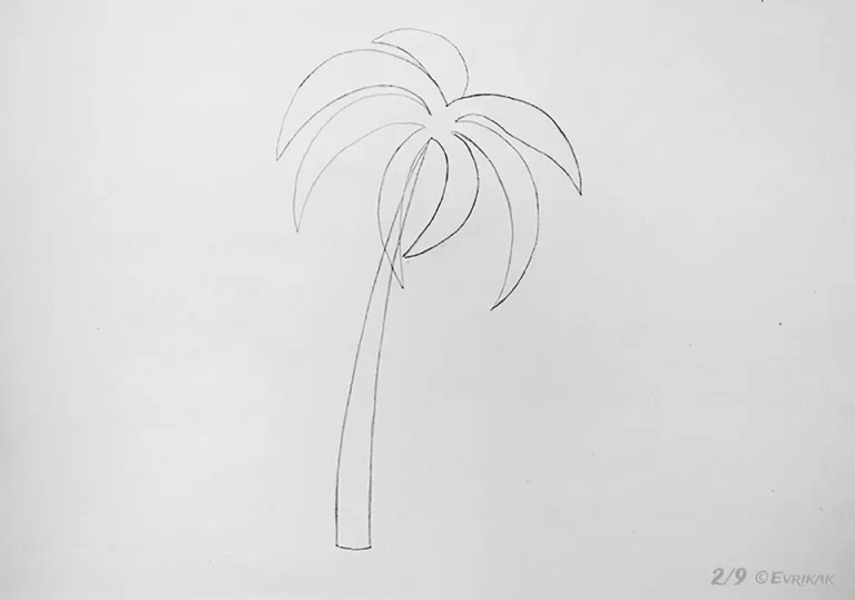 Рисунок пальмы карандашом