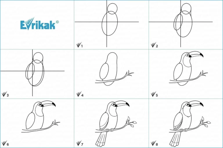 Легкий Способ Нарисовать Птицу На Ветке