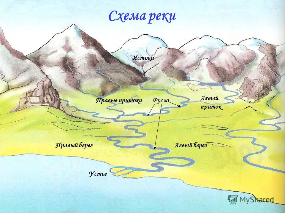 Река исток русло схема