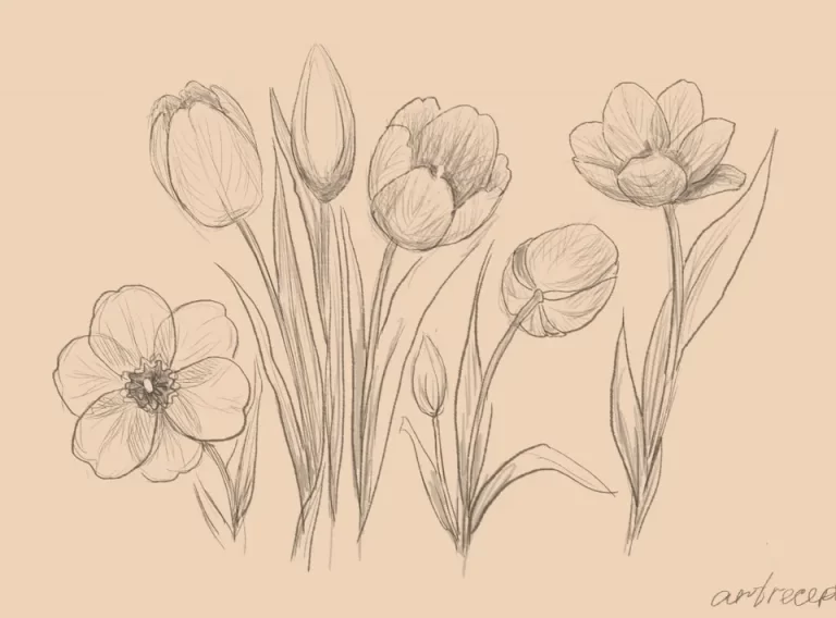 Как Нарисовать Цветок Тюльпан Карандашом: Пошаговая Инструкция