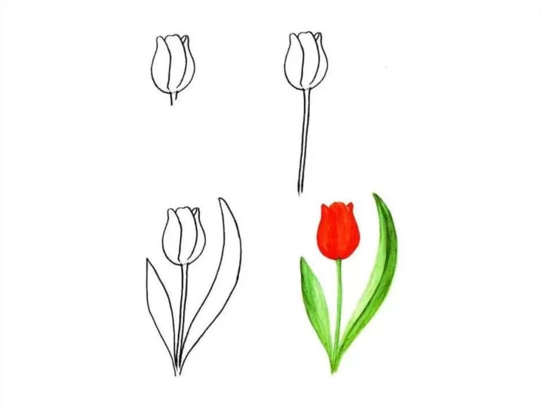 Простой Гид: Как Нарисовать Цветок В 1 Классе