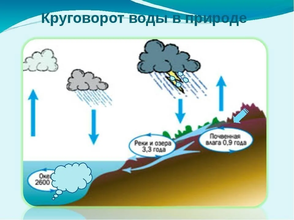 Круговорот воды в природе схема