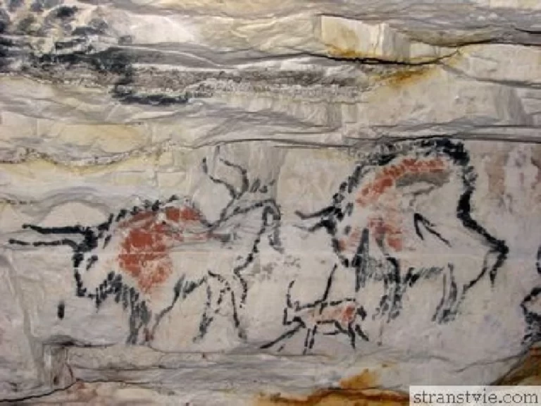 Пещера Шульган Таш: Загадочные Наскальные Рисунки И Их История