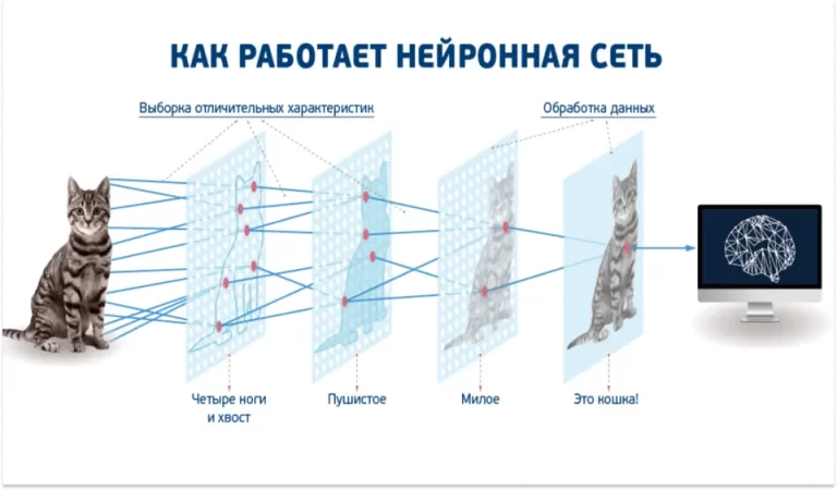 Типы нейронных сетей