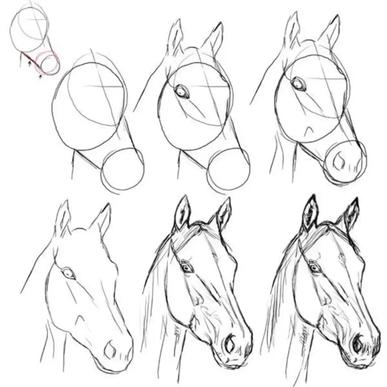 Рисуем лошадь поэтапно для детей