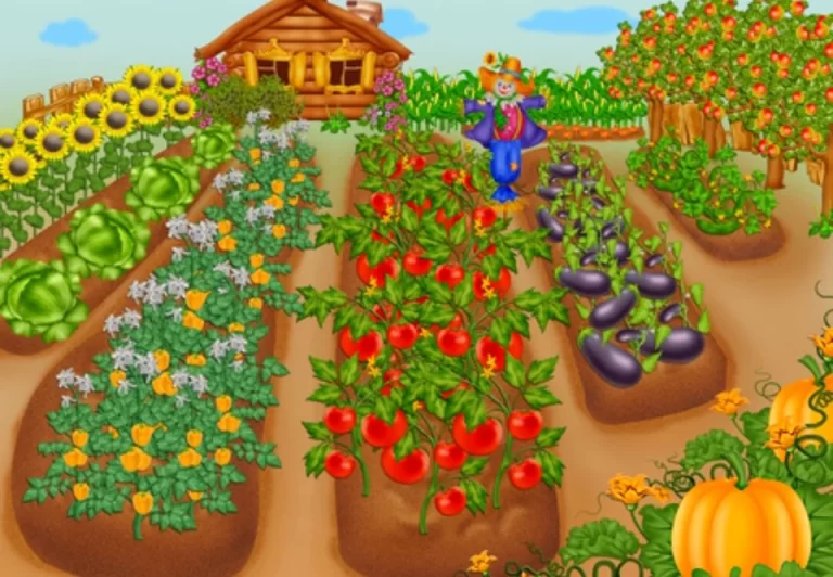 Красочные Огородные Рисунки: Вдохновение И Творчество Для Детей